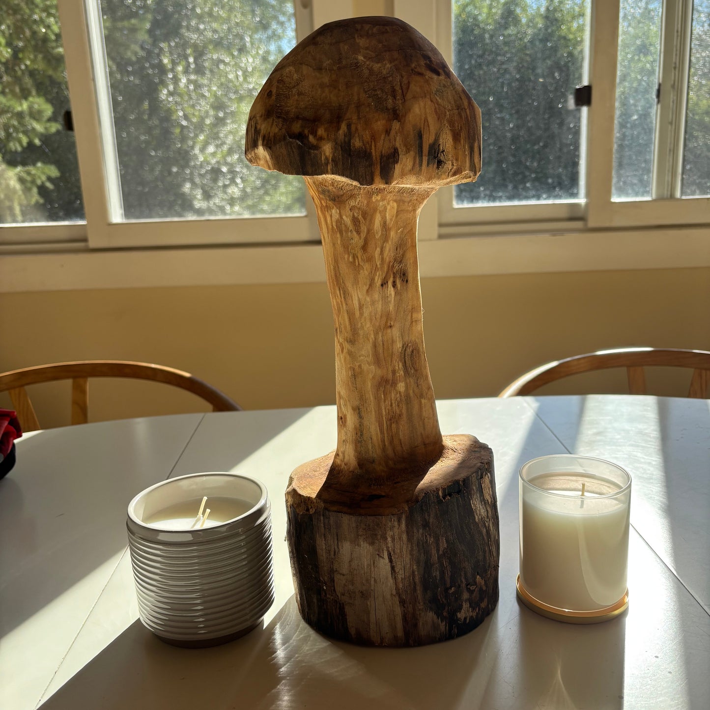 Alder Mushroom (Large)